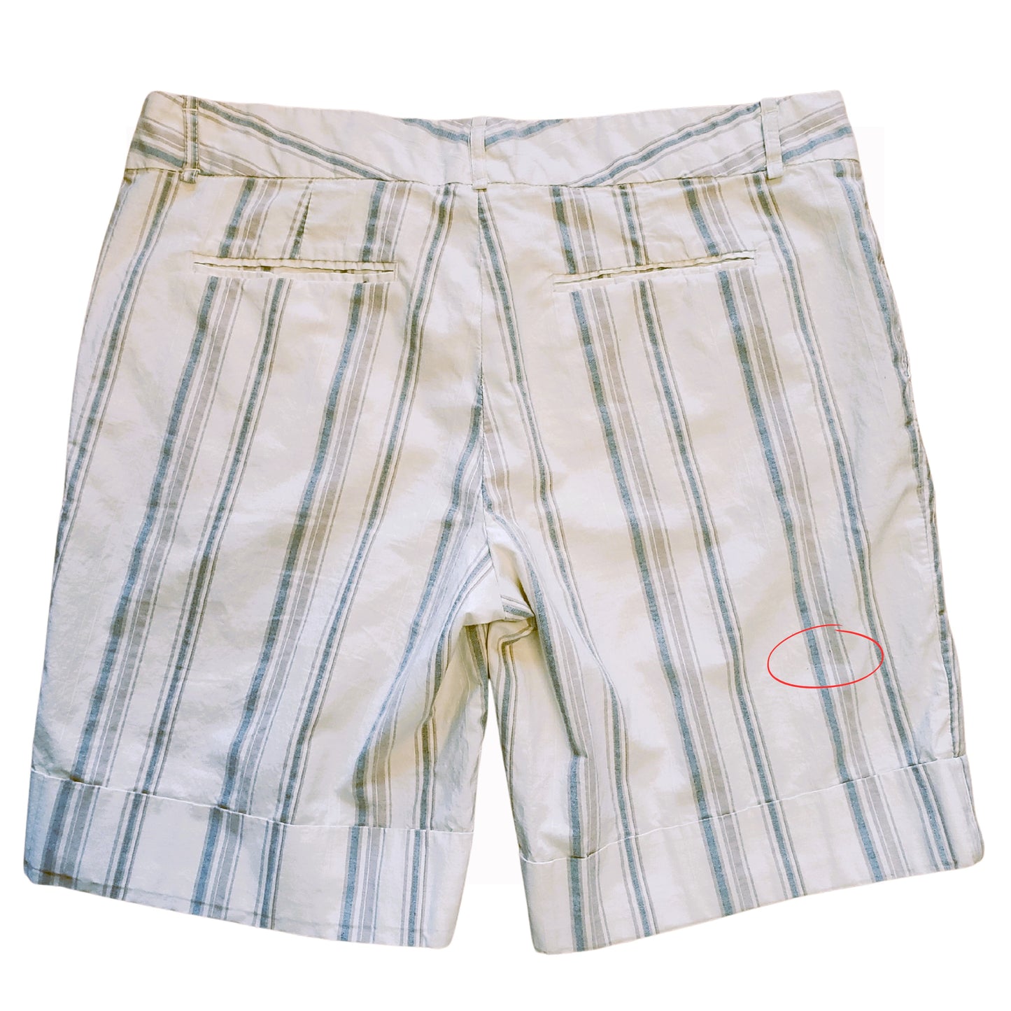 TWEEDS Ivory White Shorts with Light Beige & Blue Stripes, Size 12