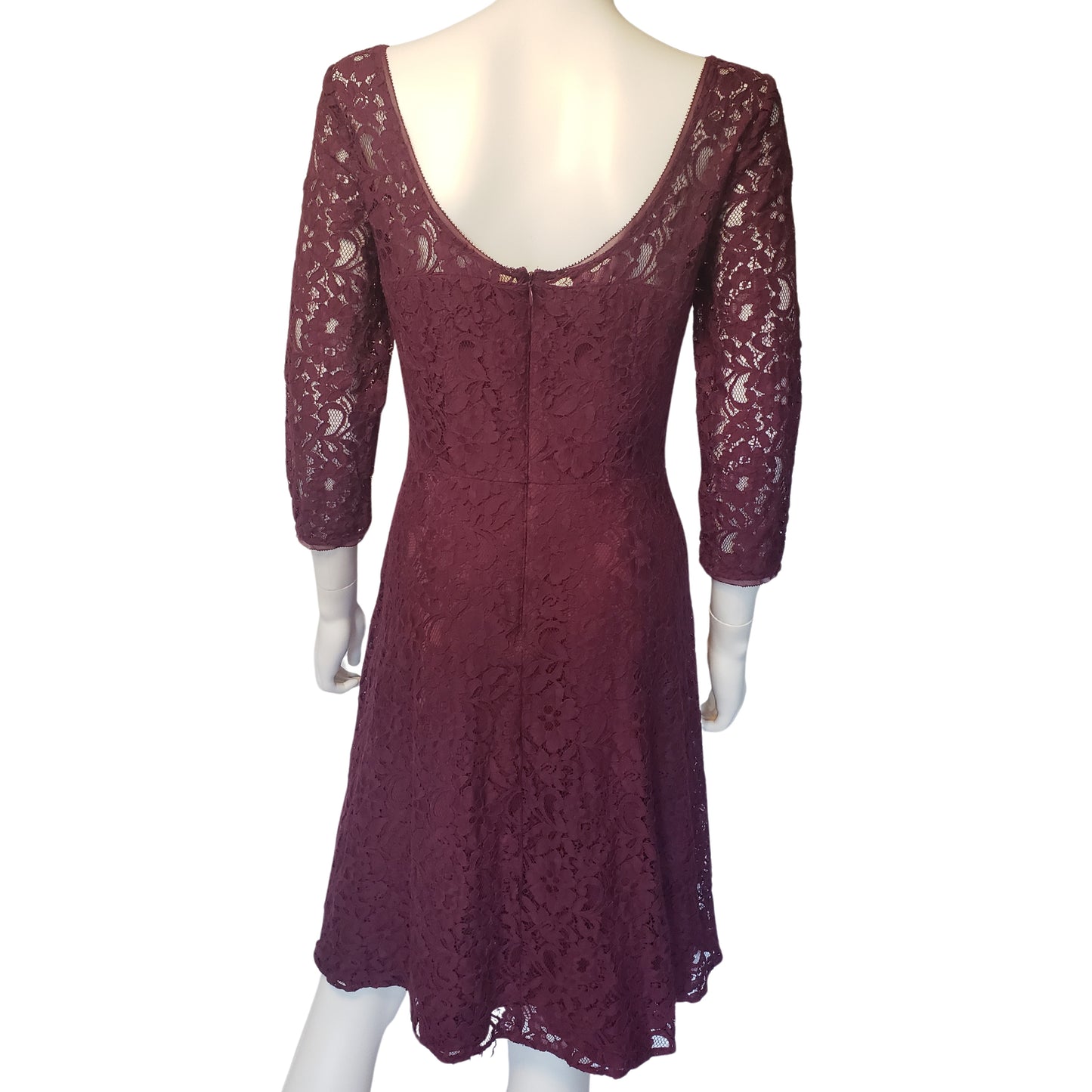 WHITE HOUSE BLACK MARKET Plum Lace A-Line Dress with 3/4 Sleeves, Size 8